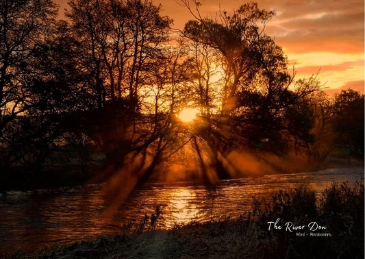 The River Don - Postcard
