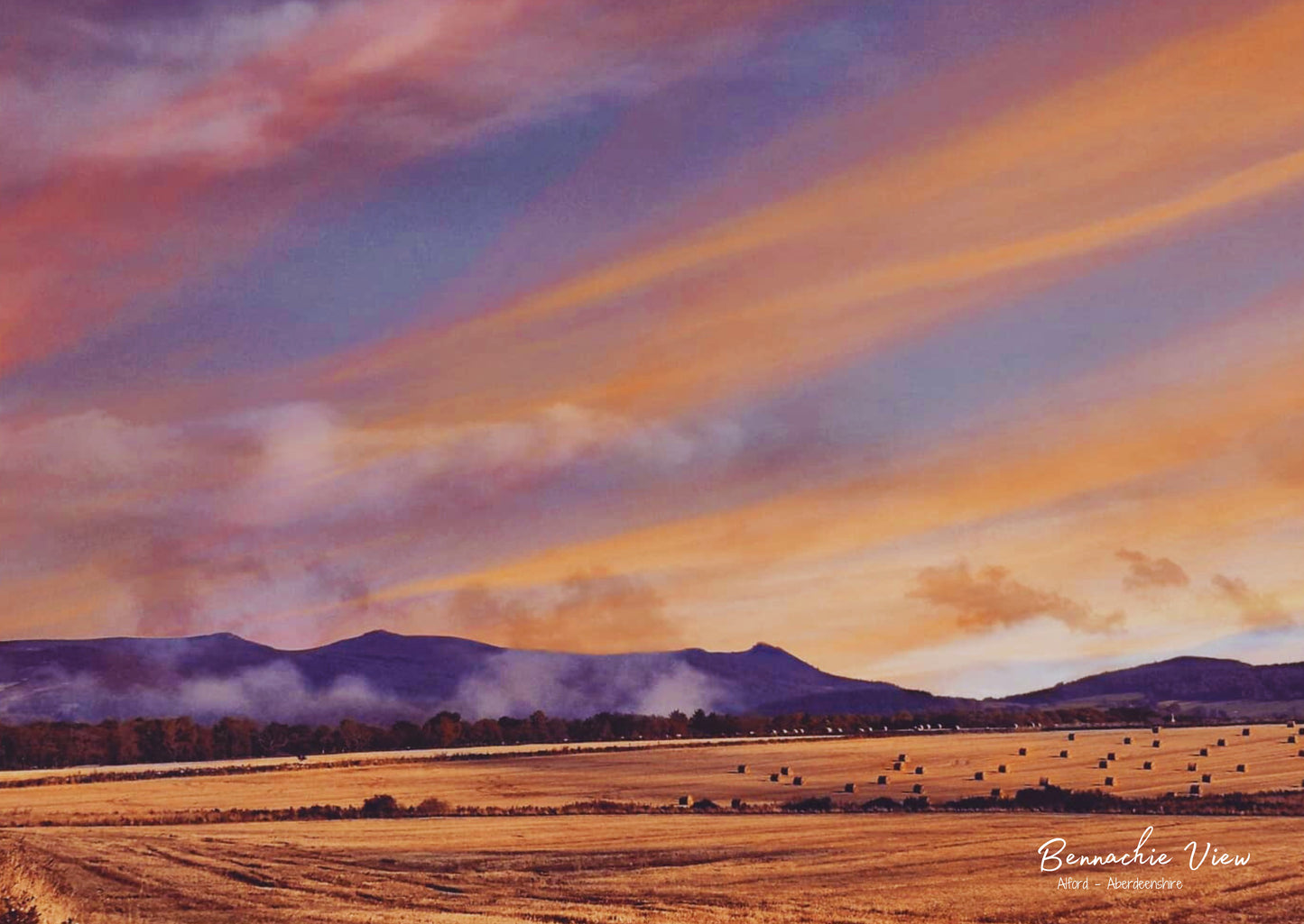 Bennachie View - Postcard