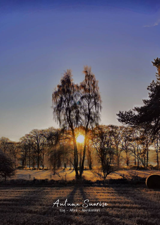 Autumn Sunrise - Postcard