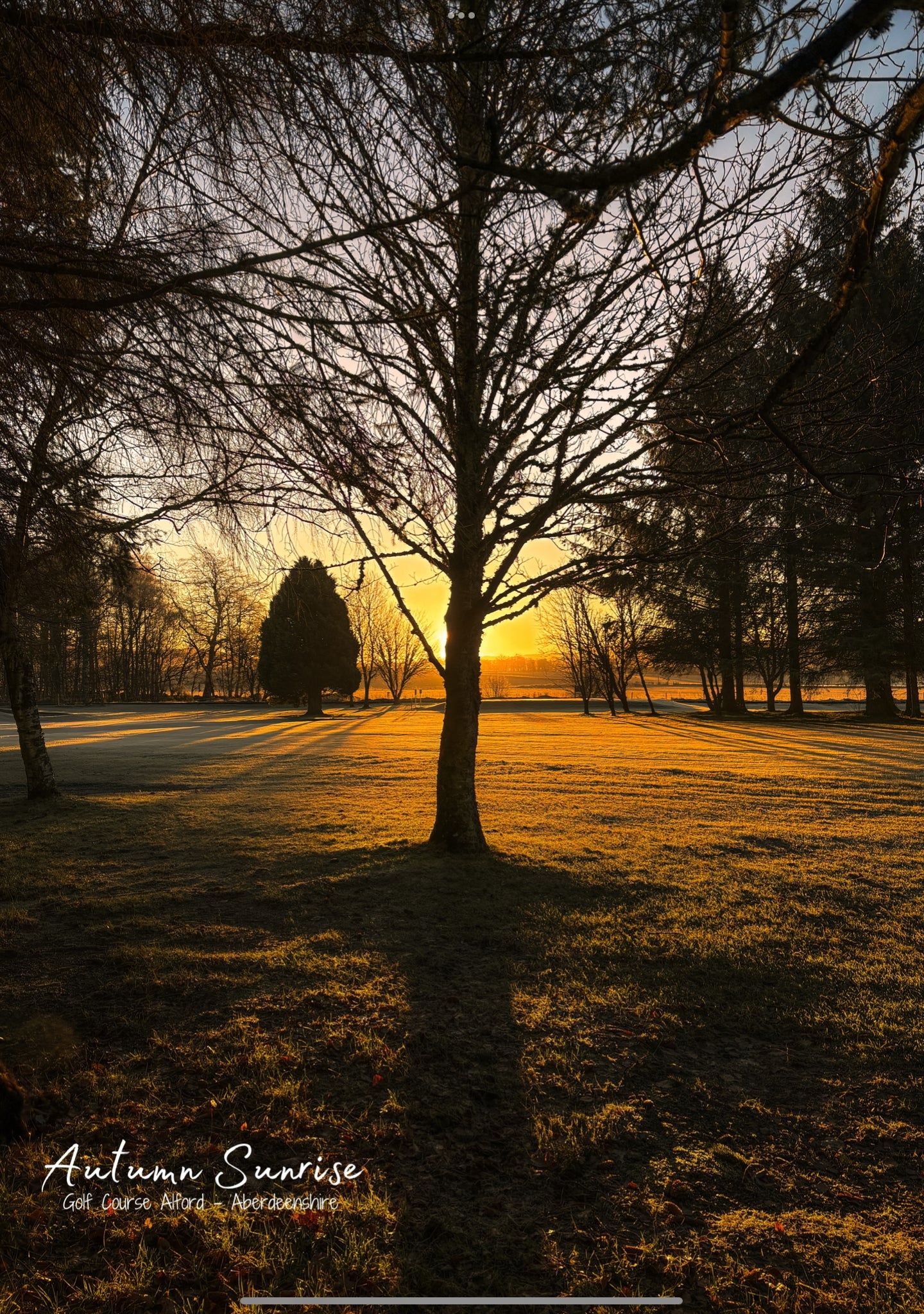 Autumn Sunrise on the Alford Golf Course - Postcard
