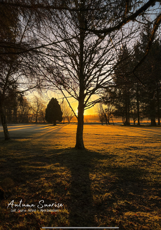 Autumn Sunrise on the Alford Golf Course - Postcard