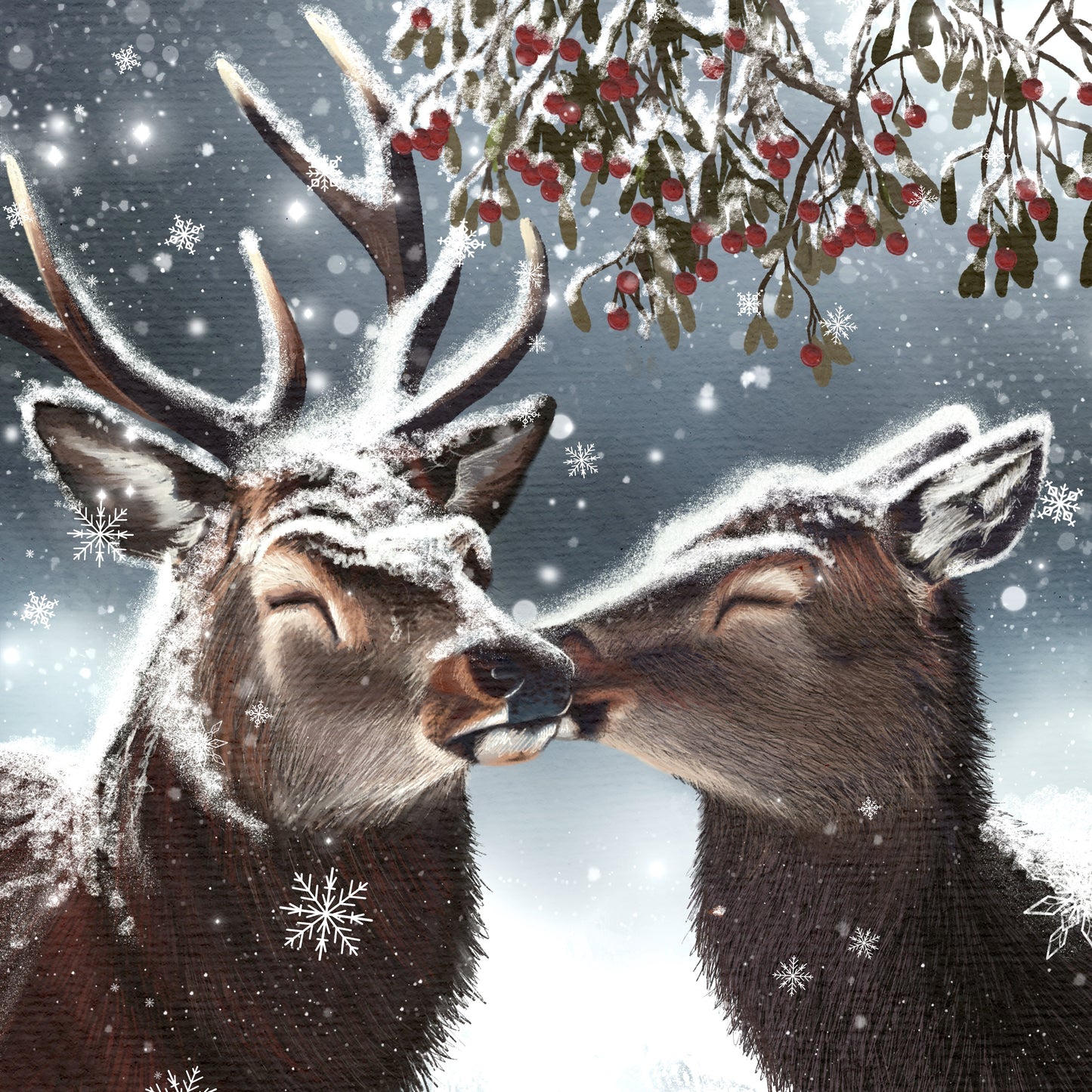 Christmas Cards 2024