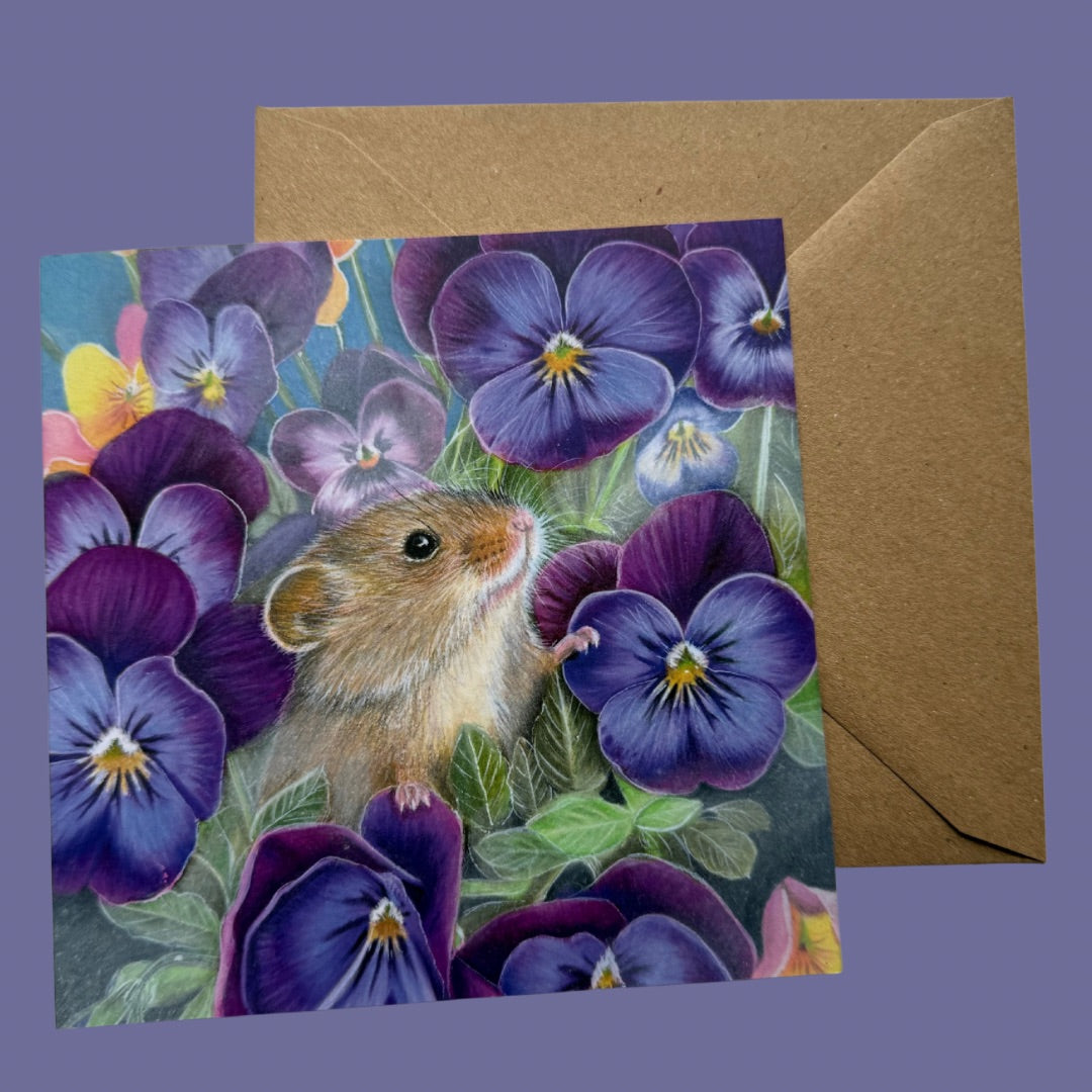 Little Viola - Card