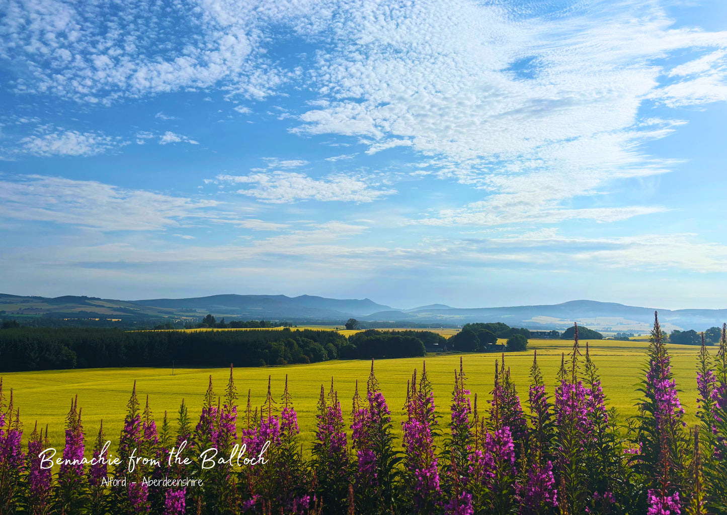 Bennachie From The Balloch - Postcard