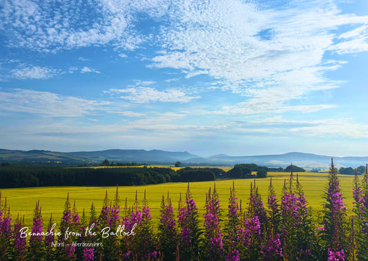 Bennachie From The Balloch - Postcard