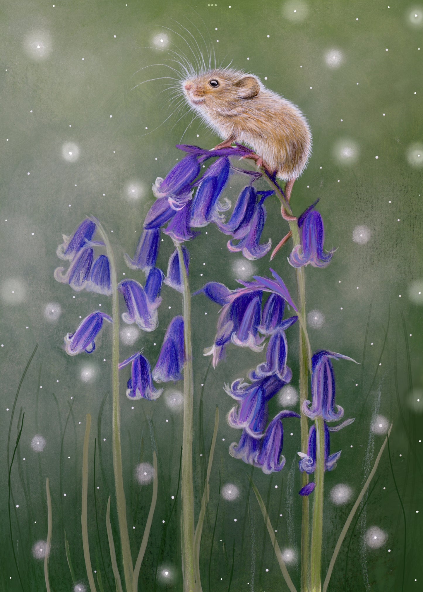 Bella - Original Painting