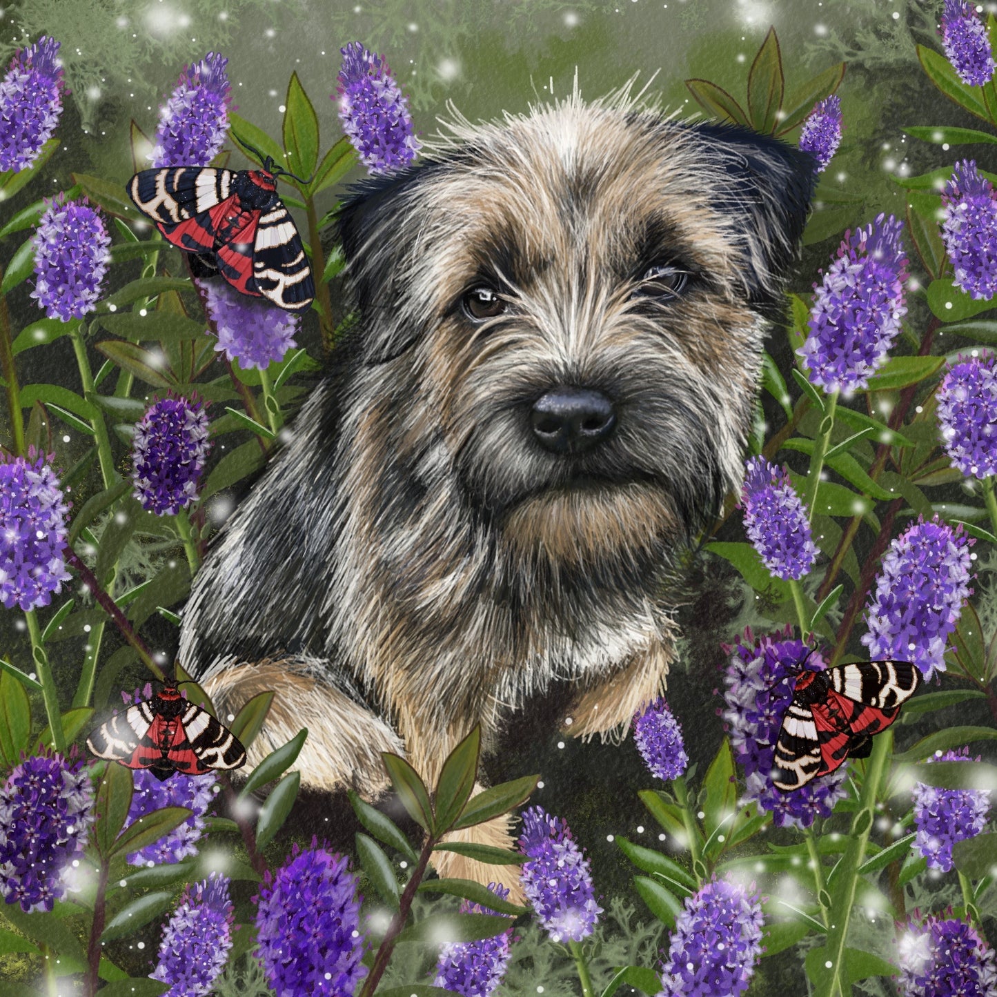 Hebe the Border Terrier Card