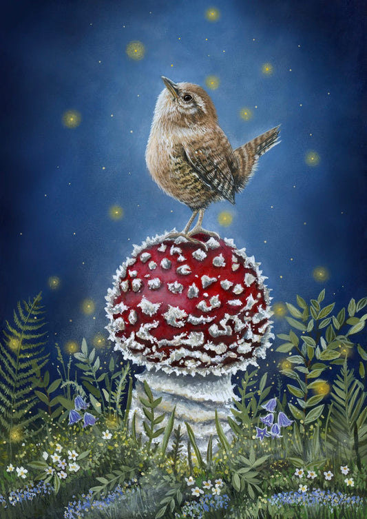 The Wren who waits for the Moon