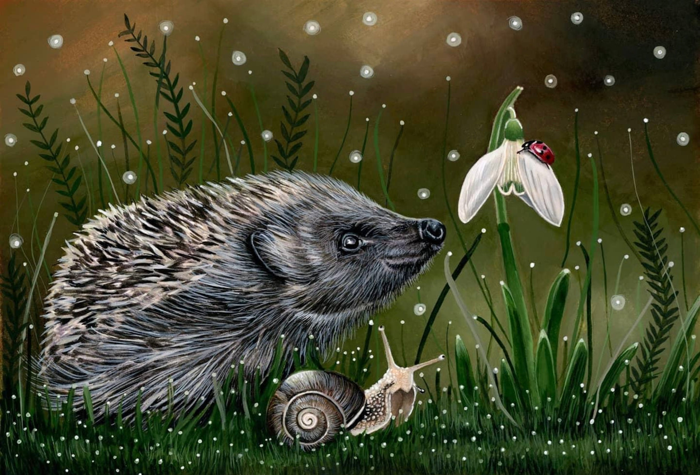 The Hoglet, The Snail and The Ladybird