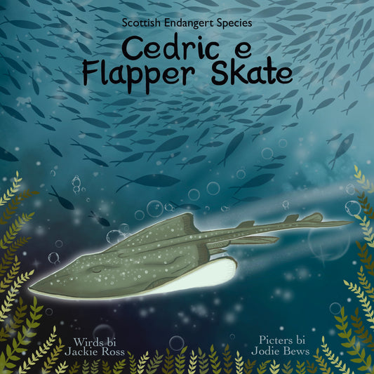 Cedric e Flapper Skate